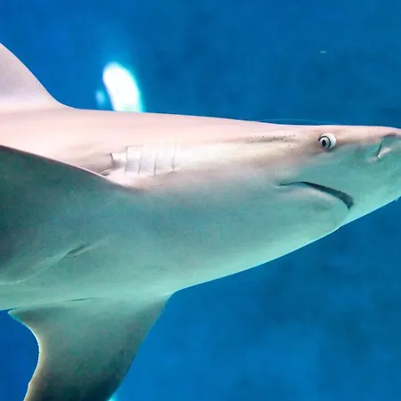 The First Porta Soprana Prione Apartamento *